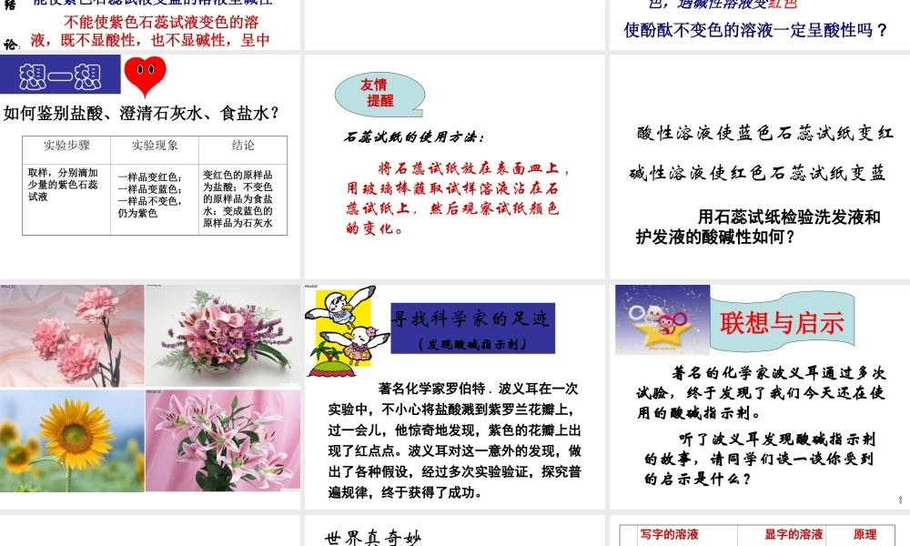 粤教初中化学九下《8.1 溶液的酸碱性》PPT课件 (2).ppt