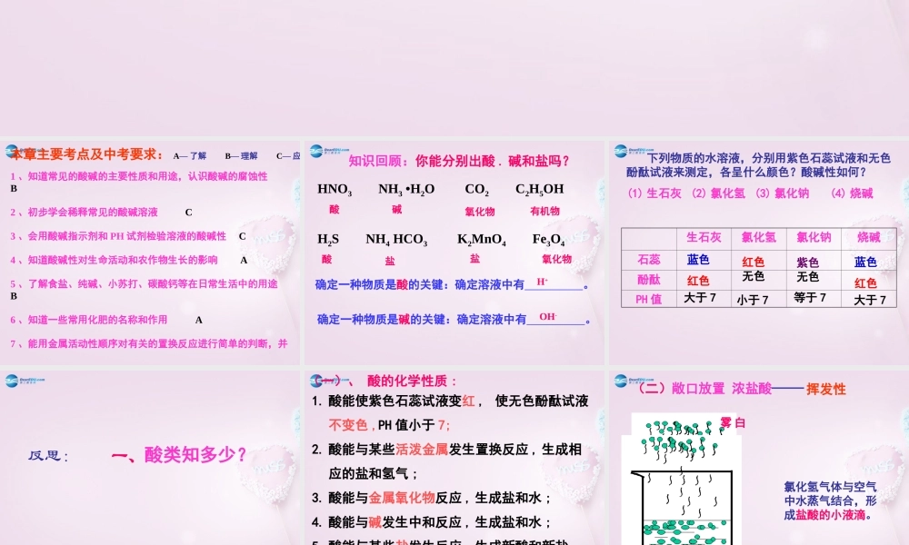 粤教初中化学九下《8.0第八章 常见的酸、碱、盐》PPT课件 (4).ppt