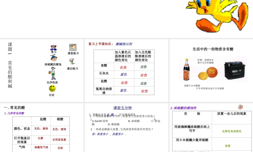 粤教初中化学九下《8.2 常见的酸和碱》PPT课件 (1).ppt