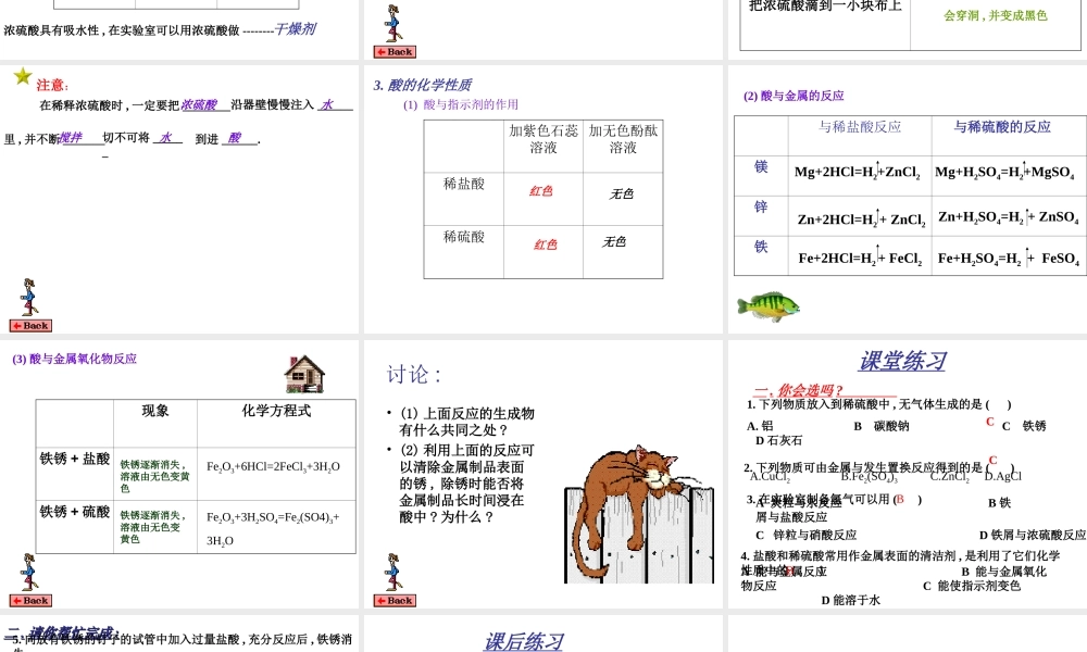 粤教初中化学九下《8.2 常见的酸和碱》PPT课件 (1).ppt