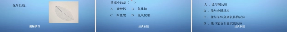粤教初中化学九下《8.2 常见的酸和碱》PPT课件 (6).ppt
