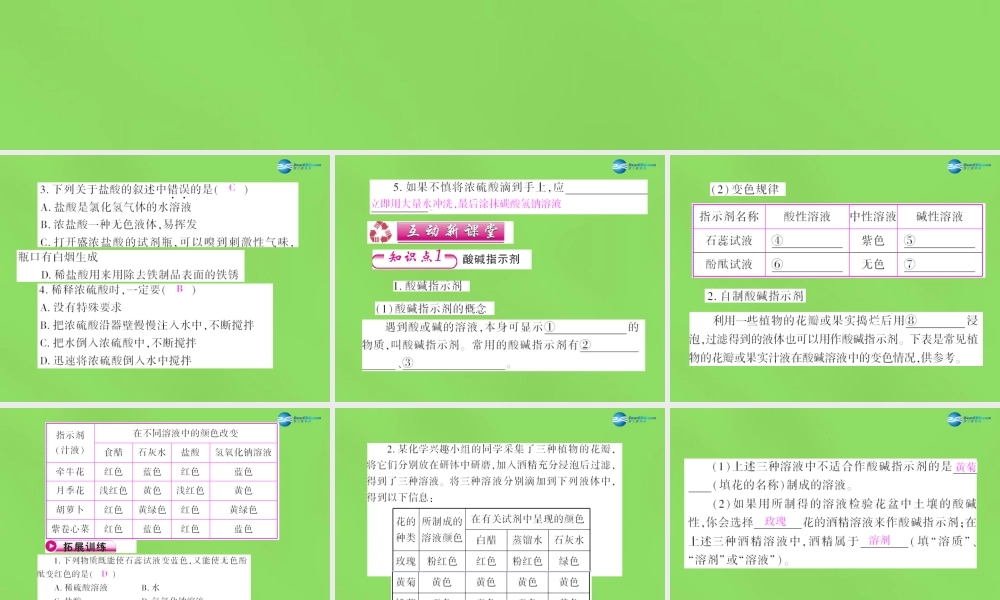 粤教初中化学九下《8.2 常见的酸和碱》PPT课件 (8).ppt