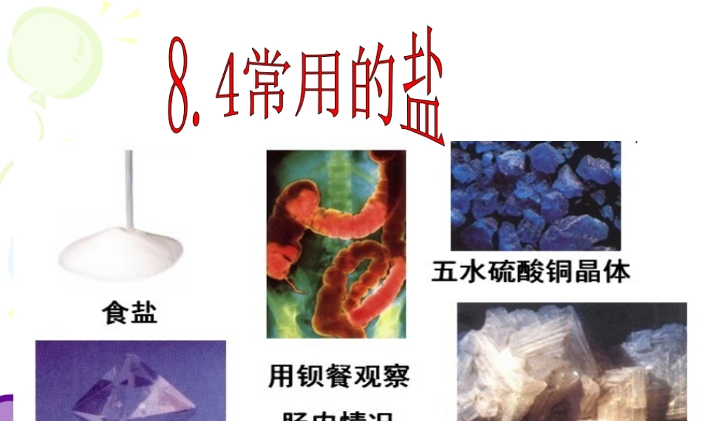 粤教初中化学九下《8.4 常用的盐》PPT课件 (1).ppt