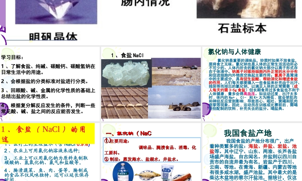 粤教初中化学九下《8.4 常用的盐》PPT课件 (1).ppt