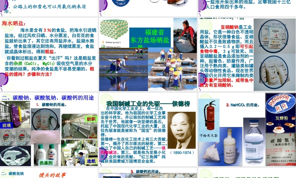 粤教初中化学九下《8.4 常用的盐》PPT课件 (1).ppt