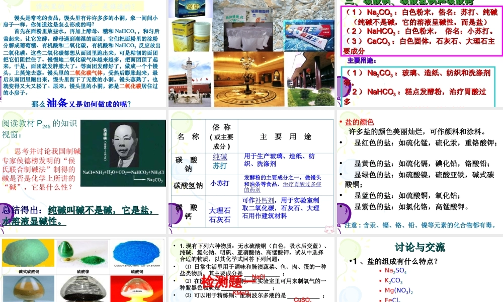 粤教初中化学九下《8.4 常用的盐》PPT课件 (1).ppt