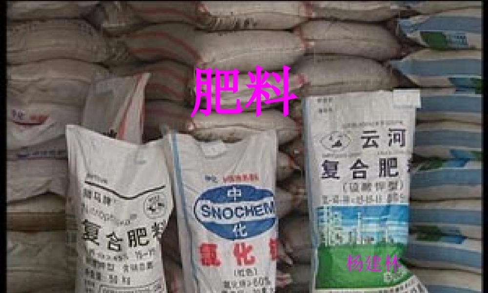 粤教初中化学九下《8.5 化学肥料》PPT课件 (4).ppt