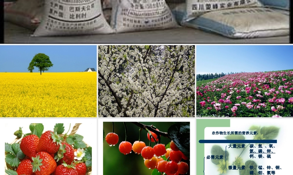 粤教初中化学九下《8.5 化学肥料》PPT课件 (4).ppt