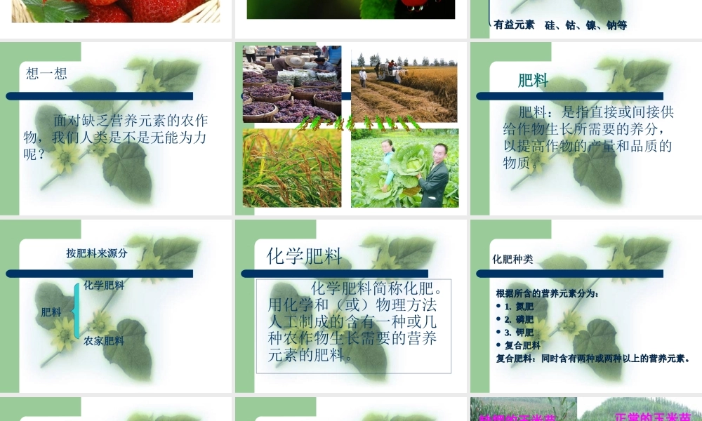 粤教初中化学九下《8.5 化学肥料》PPT课件 (4).ppt