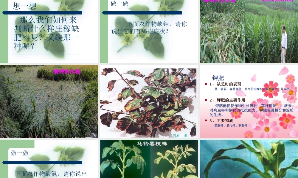 粤教初中化学九下《8.5 化学肥料》PPT课件 (4).ppt