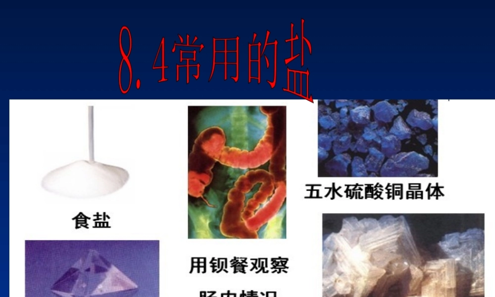 粤教初中化学九下《8.4 常用的盐》PPT课件 (4).ppt