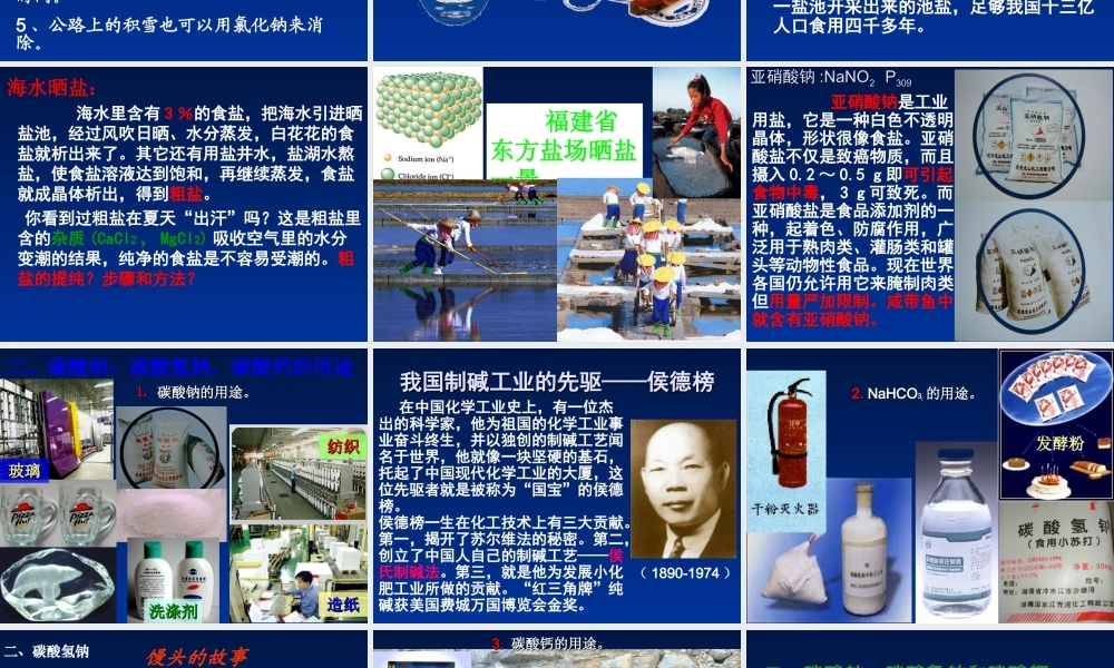 粤教初中化学九下《8.4 常用的盐》PPT课件 (4).ppt