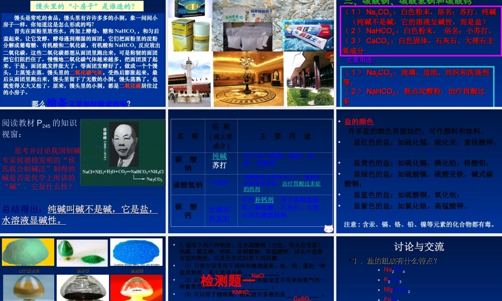 粤教初中化学九下《8.4 常用的盐》PPT课件 (4).ppt