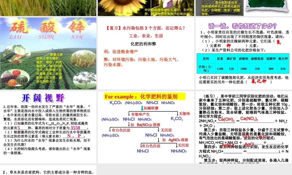 粤教初中化学九下《8.5 化学肥料》PPT课件 (3).ppt