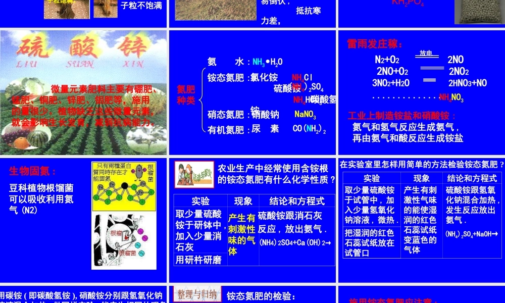 粤教初中化学九下《8.5 化学肥料》PPT课件 (5).ppt