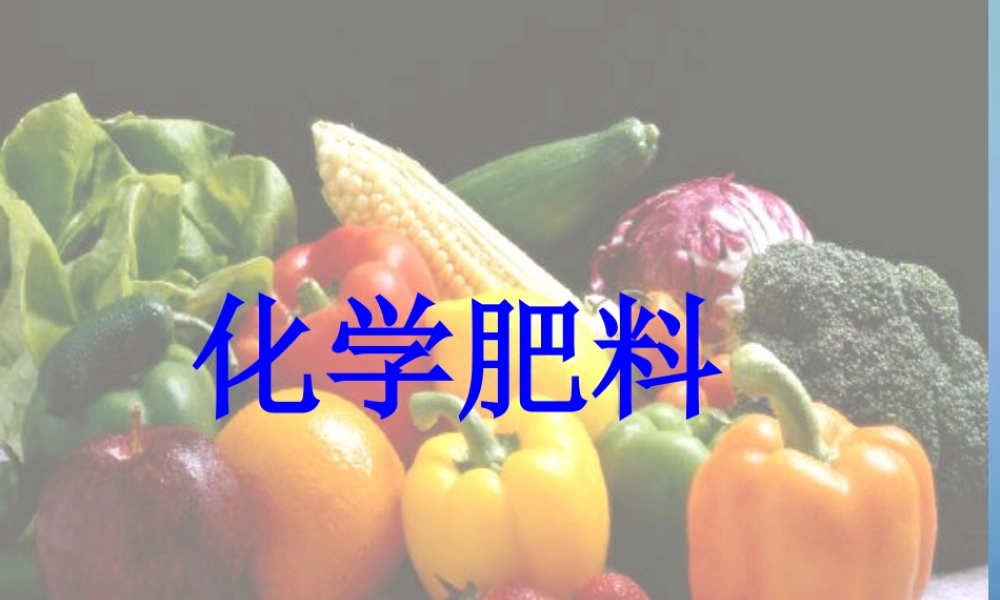 粤教初中化学九下《8.5 化学肥料》PPT课件 (8).ppt