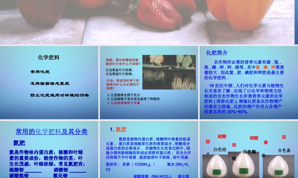 粤教初中化学九下《8.5 化学肥料》PPT课件 (8).ppt