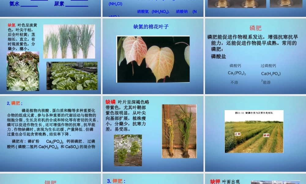 粤教初中化学九下《8.5 化学肥料》PPT课件 (8).ppt