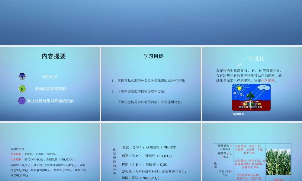 粤教初中化学九下《8.5 化学肥料》PPT课件 (9).ppt