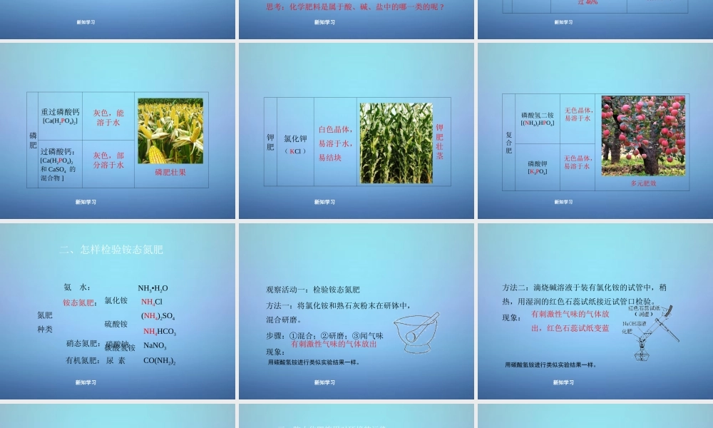 粤教初中化学九下《8.5 化学肥料》PPT课件 (9).ppt