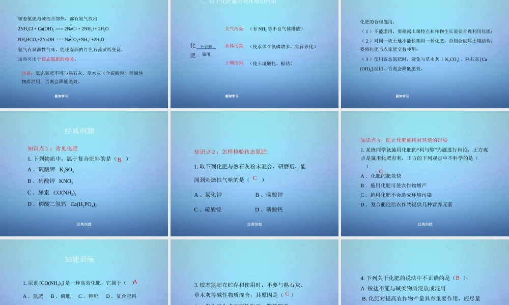 粤教初中化学九下《8.5 化学肥料》PPT课件 (9).ppt