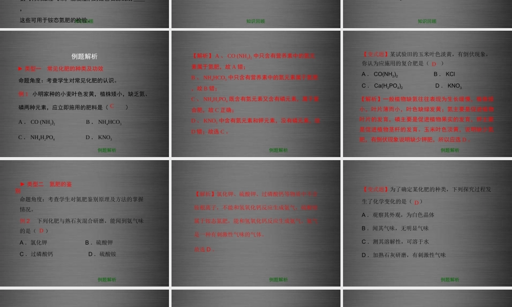 粤教初中化学九下《8.5 化学肥料》PPT课件 (10).ppt