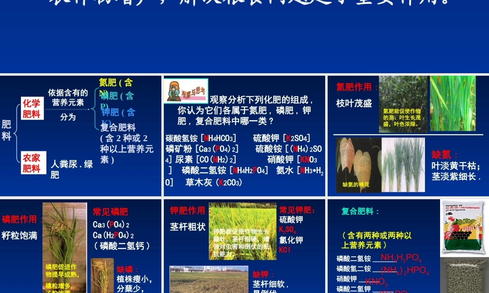 粤教初中化学九下《8.5 化学肥料》PPT课件 (7).ppt