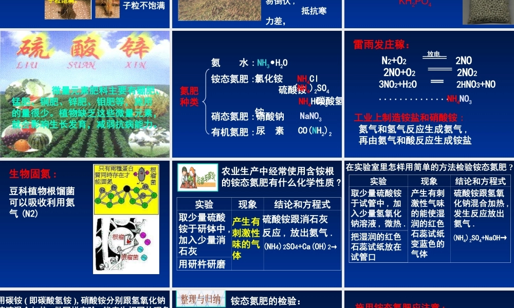 粤教初中化学九下《8.5 化学肥料》PPT课件 (7).ppt