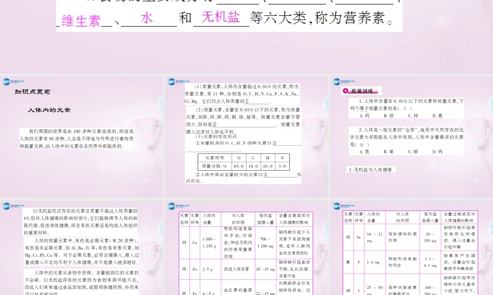 粤教初中化学九下《9.4 化学物质与健康》PPT课件 (4).ppt