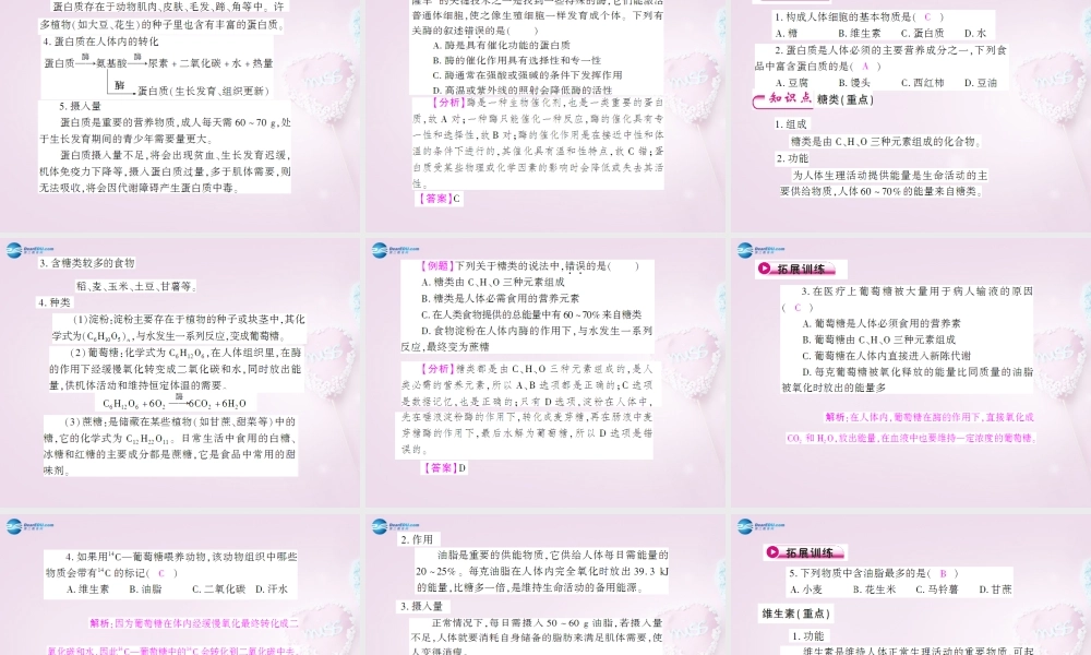 粤教初中化学九下《9.4 化学物质与健康》PPT课件 (4).ppt