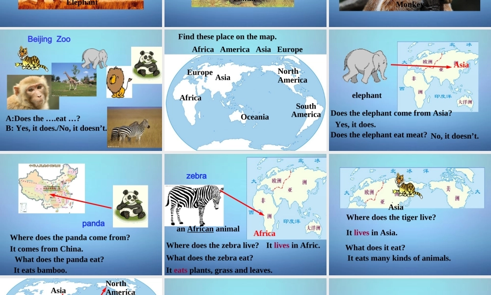 浙江省金华市第十六中学七年级英语上册 Module 6 Unit 2 The tiger lives in Asia课件 （新版）外研版.ppt