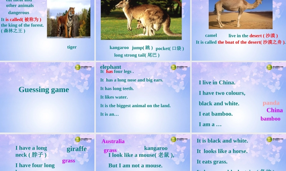 浙江省衢州市开化县池淮镇初级中学七年级英语上册 Module 6 A trip to the zoo Unit 1 Does it eat meat？课件 （新版）外研版.ppt