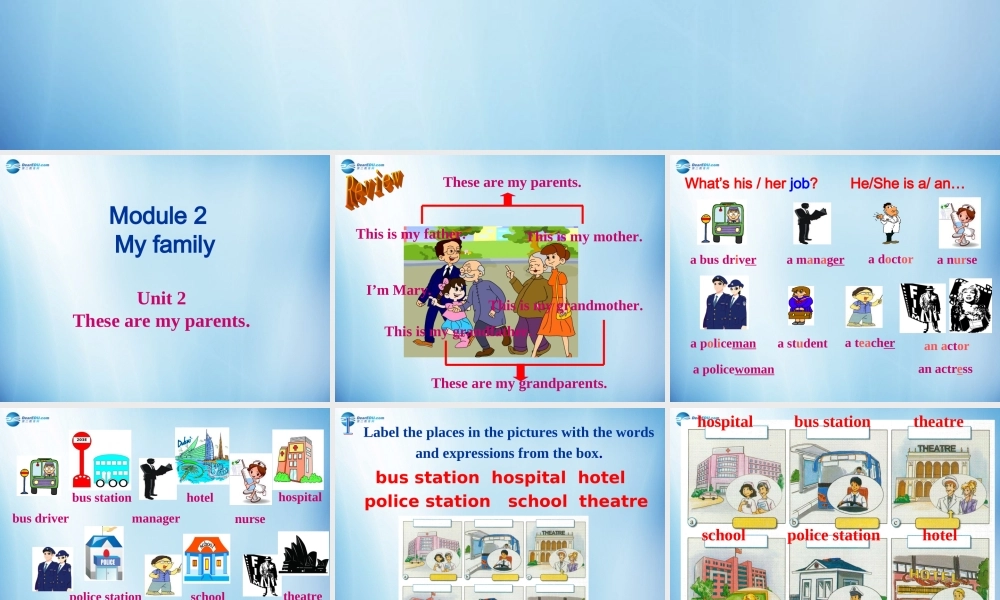 浙江省温州市第十二中学七年级英语上册 Module 2 My family Unit 2 These are my parents课件 （新版）外研版.ppt