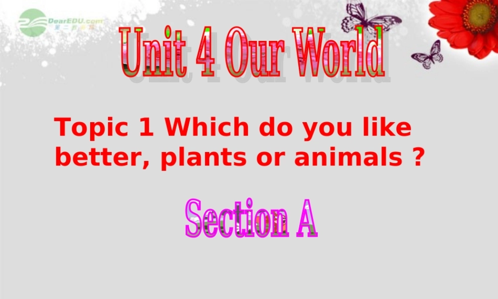 重庆市涪陵区中峰初级中学八年级英语上册 Unit 4 Our World Topic 1 Which do you like better, plants or animals Section A课件 （新版）仁爱版.ppt