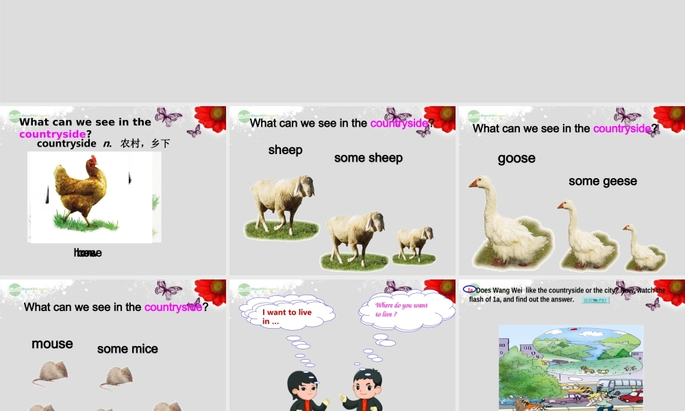 重庆市涪陵区中峰初级中学八年级英语上册 Unit 4 Our World Topic 1 Which do you like better, plants or animals Section A课件 （新版）仁爱版.ppt