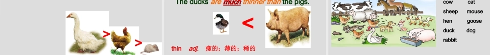 重庆市涪陵区中峰初级中学八年级英语上册 Unit 4 Our World Topic 1 Which do you like better, plants or animals Section A课件 （新版）仁爱版.ppt