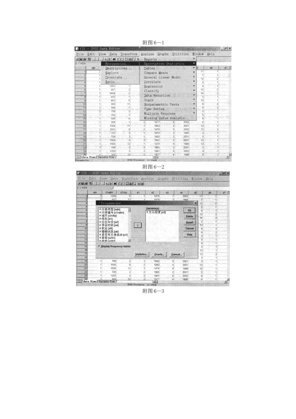 附录6 SPSS软件基本应用.doc_第2页