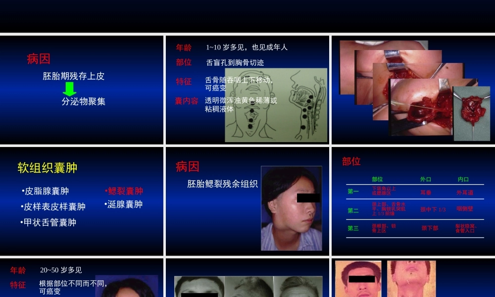 14 肿瘤3.ppt