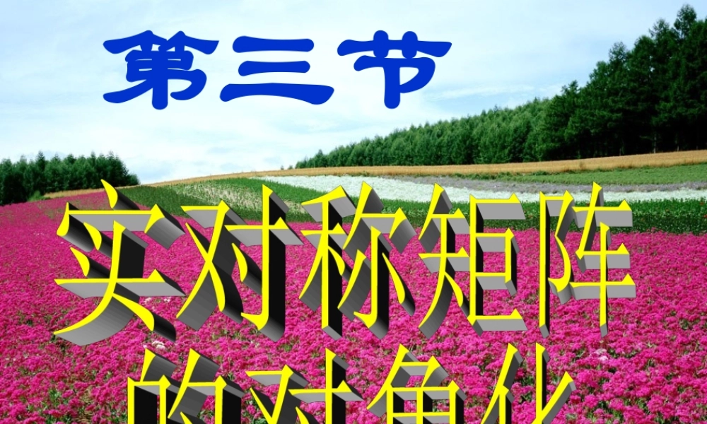 第三节 实对称矩阵的对角化.ppt