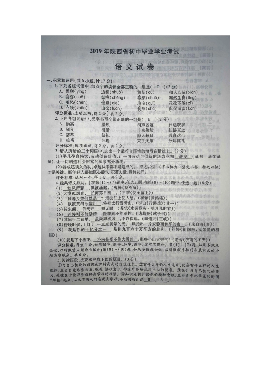 2019语文【01 资源网：01zykk.com】(1).docx_第1页