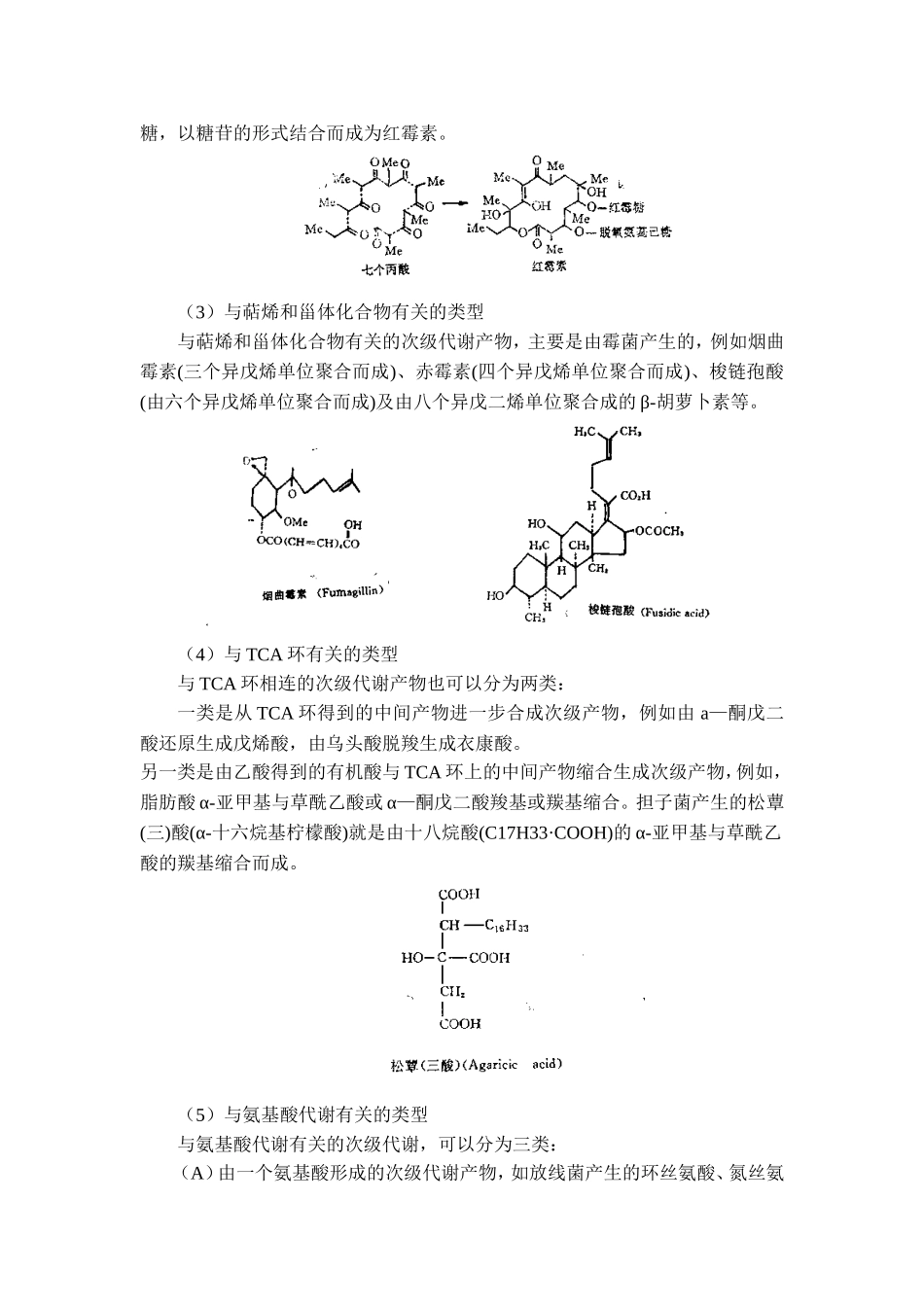 第三章发酵生物化学基础.doc_第3页