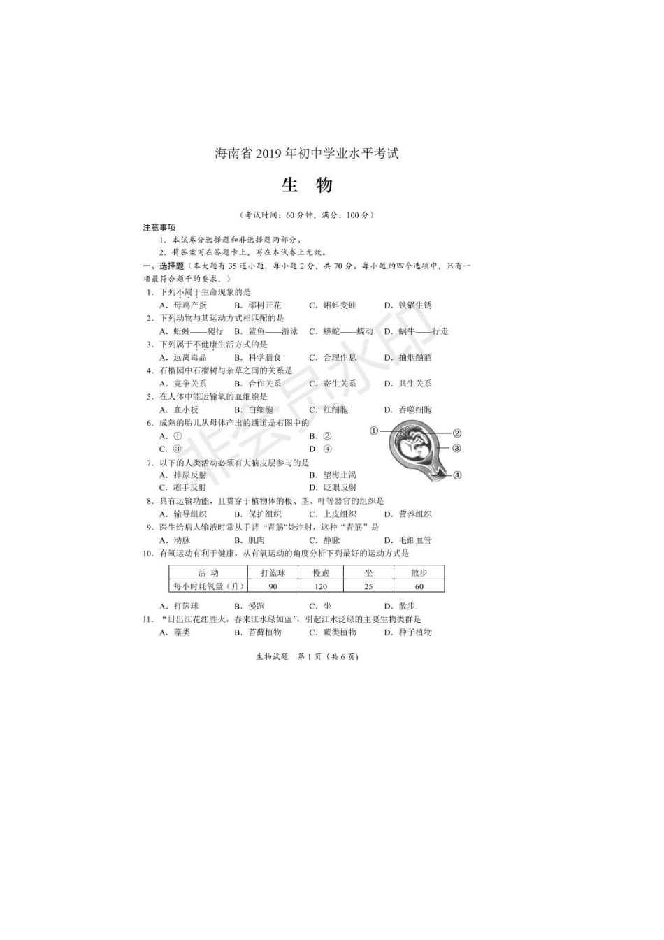 生物【01 资源网：01zykk.com】(1).docx_第1页