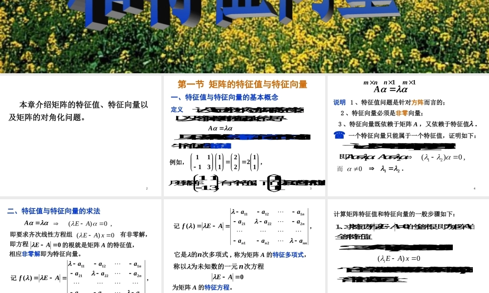 第一节 特征值问题和特征向√.ppt
