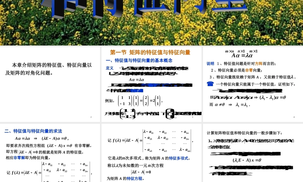 第一节 特征值问题和特征向量.ppt