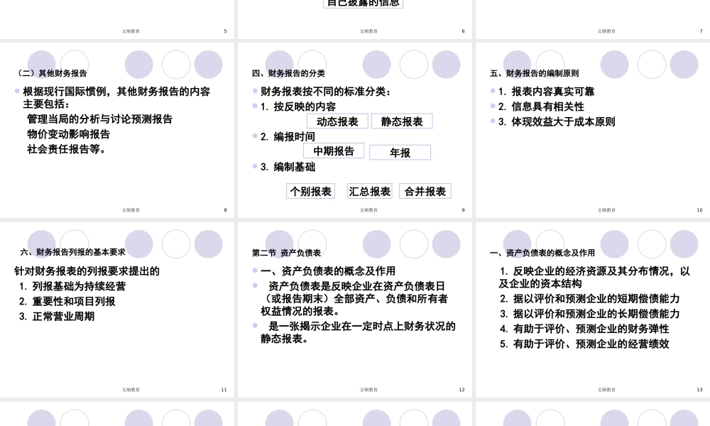 14第十四章 财务报告79(1).ppt