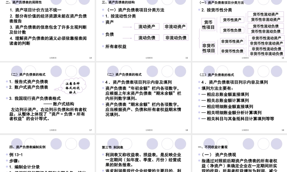 14第十四章 财务报告79(1).ppt