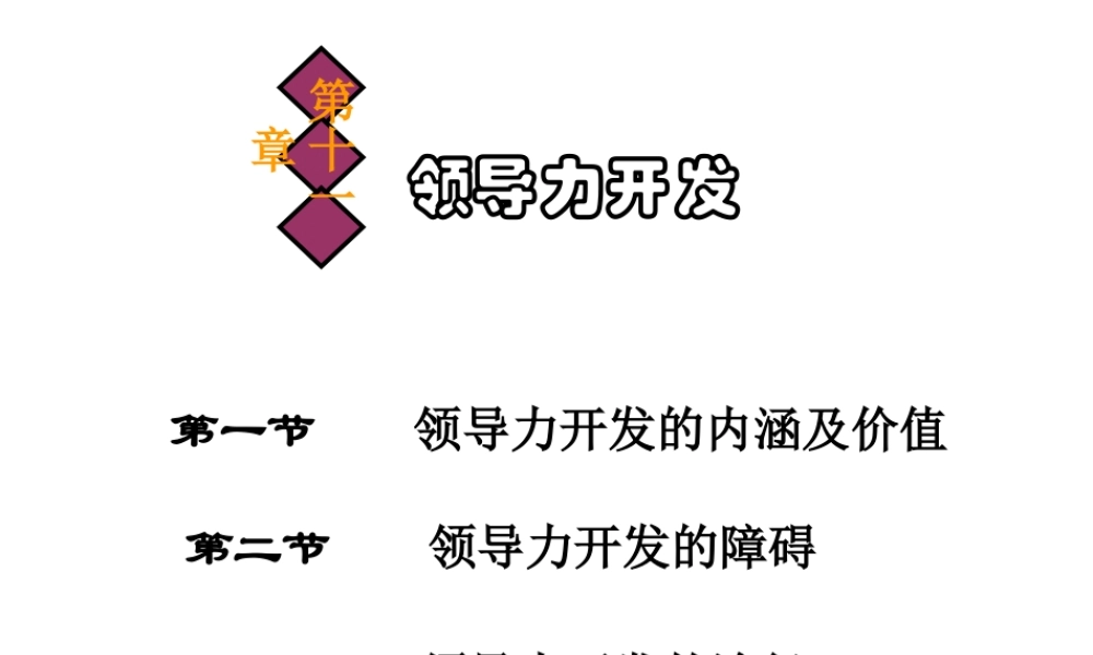 0414第十一章 领导力开发.ppt