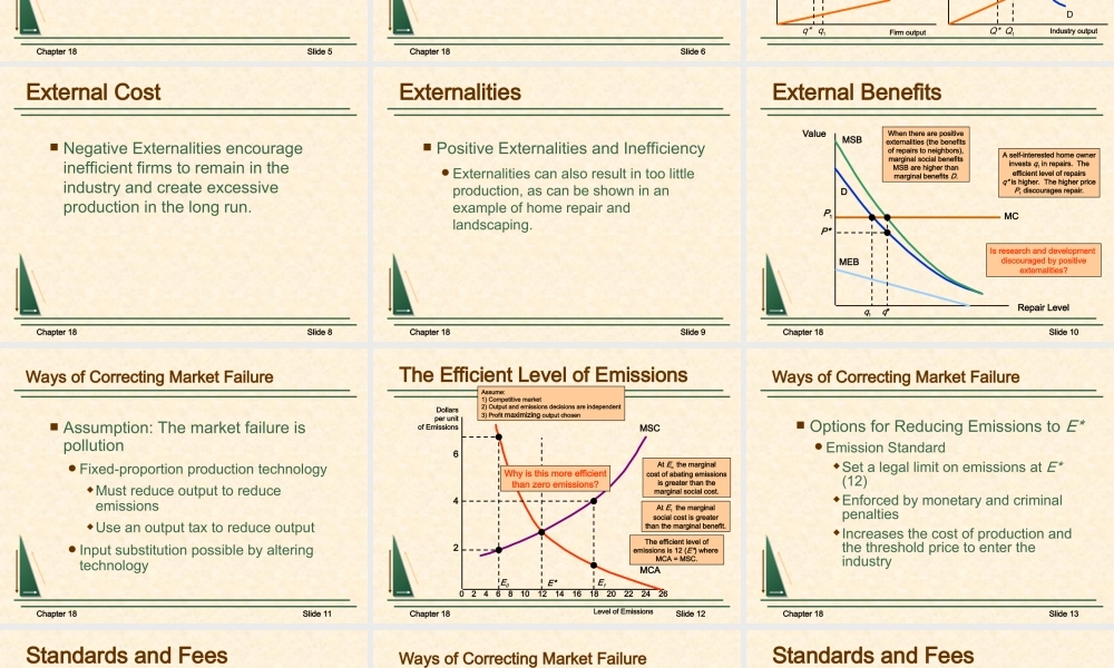 Chapter 18-Externalities and Public Goods.ppt