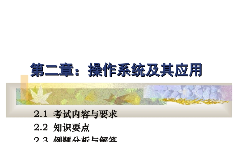 第2章 操作系统及其应用.ppt