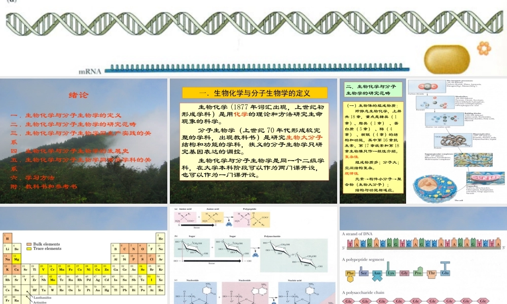 复件 王镜岩 生物化学 经典课件 0绪论 考研必备 学生物化学必备.ppt